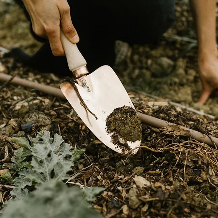 I Pini 3* San Gimignano