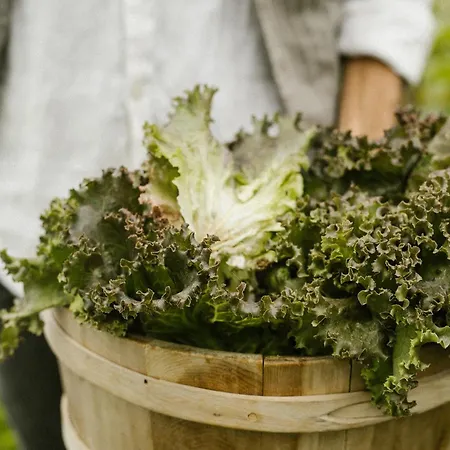 I Pini Hotel San Gimignano
