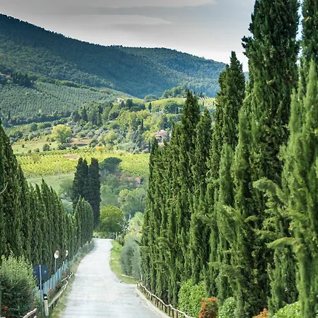 I Pini 3* San Gimignano